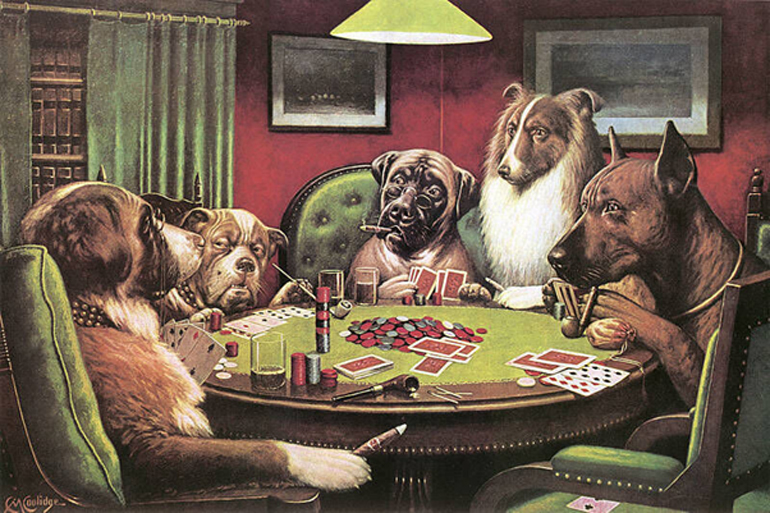 bold bluff coolidge caes a jogar poker